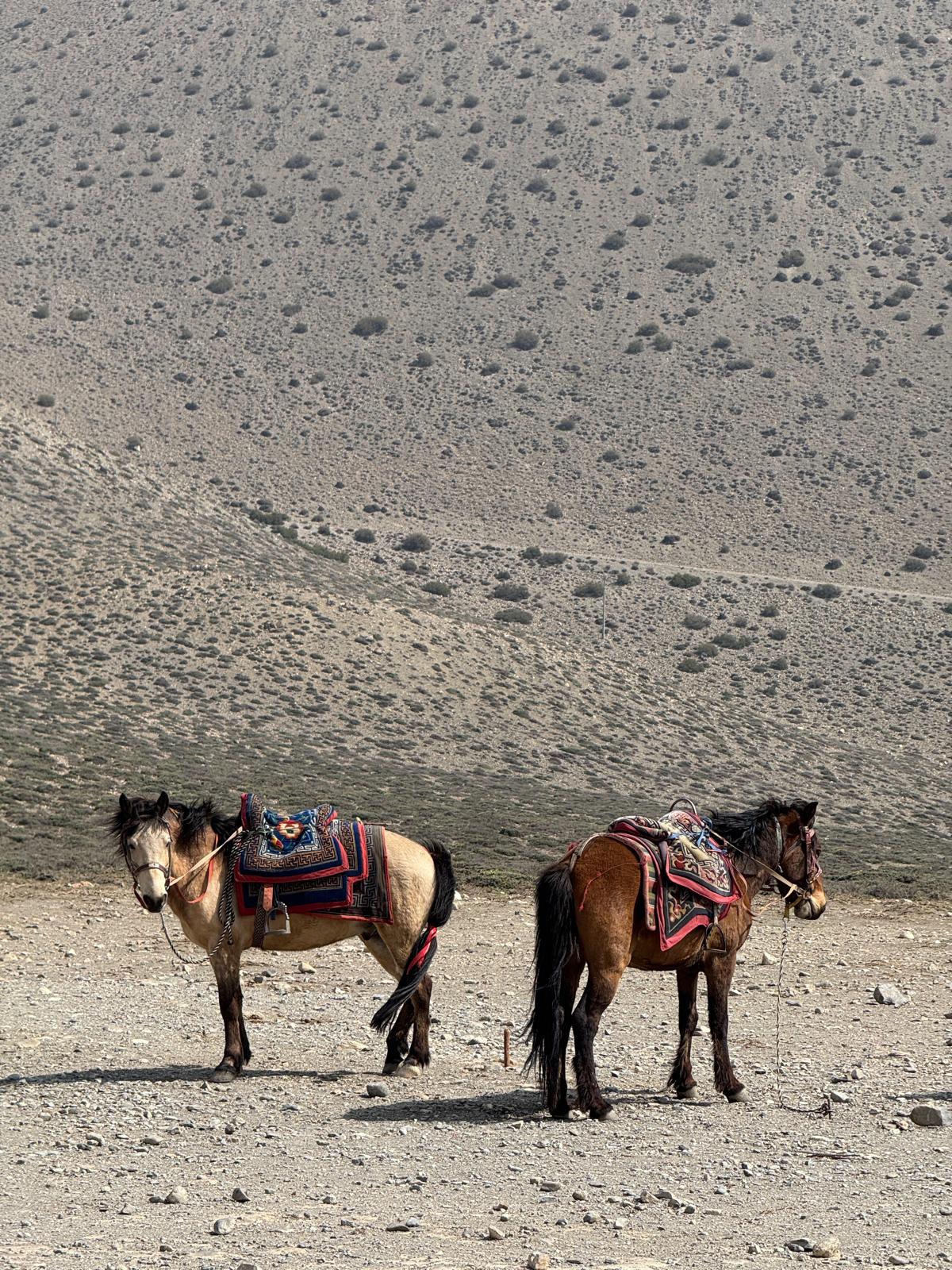 Lower Mustang Motorcycle Tour