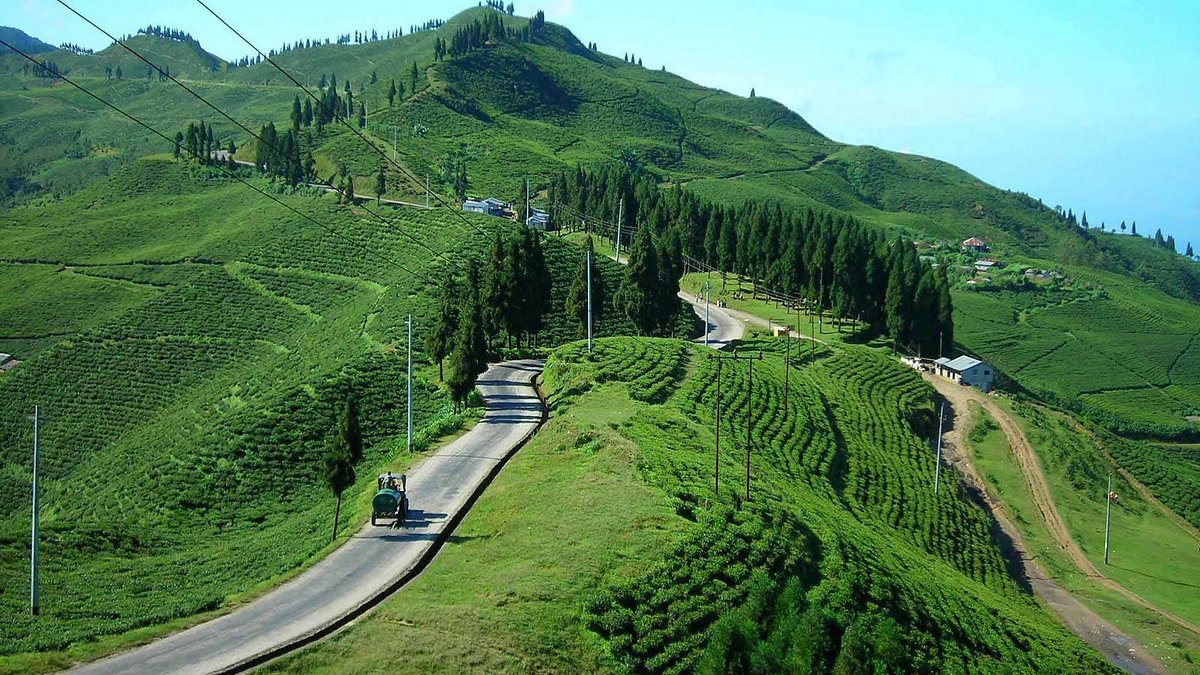Eastern Nepal Tea Garden Tour (5 Days)